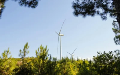 Pentingnya Dokumen AMDAL untuk Kegiatan Usaha