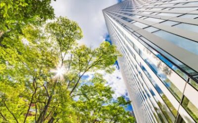 Izin Lingkungan dalam Kegiatan Usaha: Kenapa Wajib dan Bagaimana Mengurusnya?